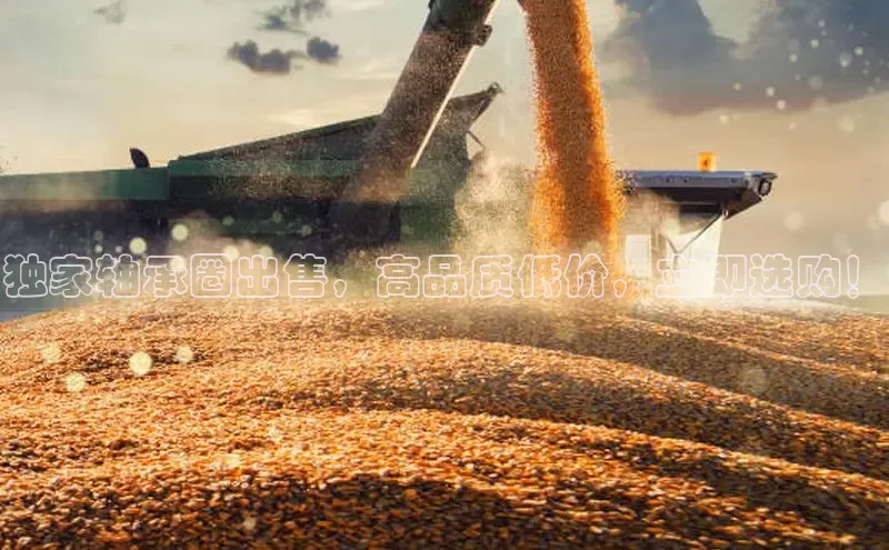 意昂体育58同城